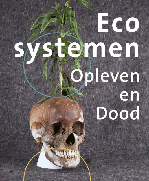 250806 Eco systemen knipsel